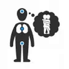 Reaktionen des Körpers beim Sex