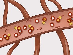 Darstellung eines Blutgefäßes im Detail mit HI-Viruszellen, die die weißen Blutkörperchen angreifen.