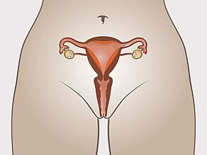 Transportul ovulului ajuns la maturitate în uter