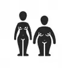 Unterschiedliche Körperformen bei Frauen