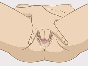 Detaillierte Darstellung einer Frau, die sich selbst befriedigt, Beispiel 1: Sie steckt die Finger in die Scheide und bewegt sie hin und her.