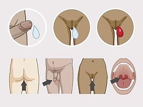Besmet sperma, vaginaal vocht en bloed van de menstruatie van mensen die besmet zijn met hiv kunnen uw lichaam binnenkomen langs het slijmvlies van de aars, eikel van de penis, vagina en mond.