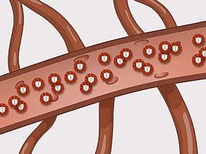 Детальне зображення кровоносної судини з великою кількістю лейкоцитів, які захищають організм від інфекцій.