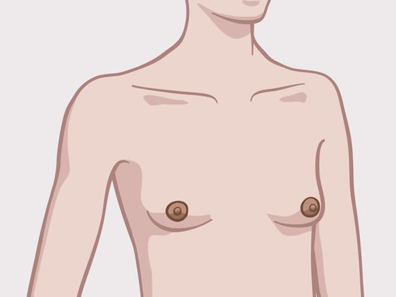 Brüste unterschiedliche Weibliche Brust