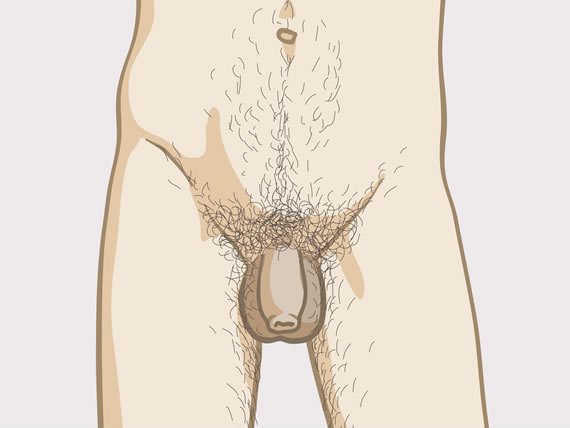 epimedyumlu nedir